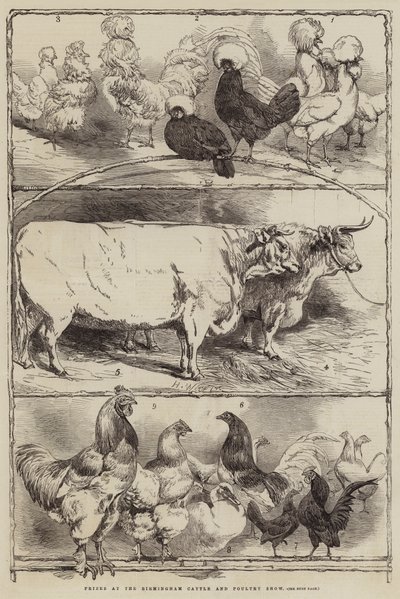 Premios en la Exposición de Ganado y Aves de Corral de Birmingham de Harrison William Weir